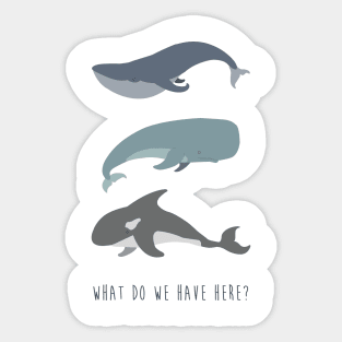 Whale, Whale, Whale... Sticker